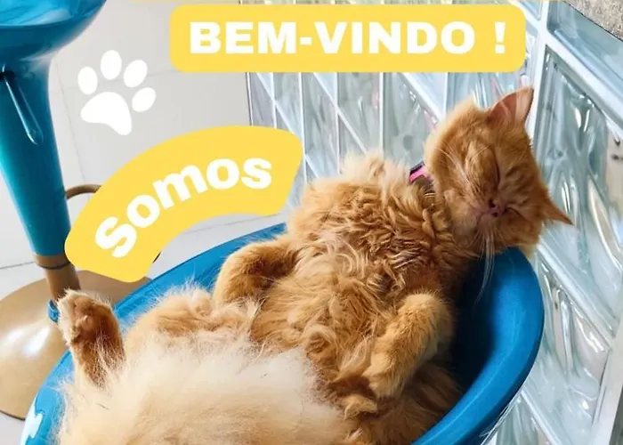 Casa Do Lamarques